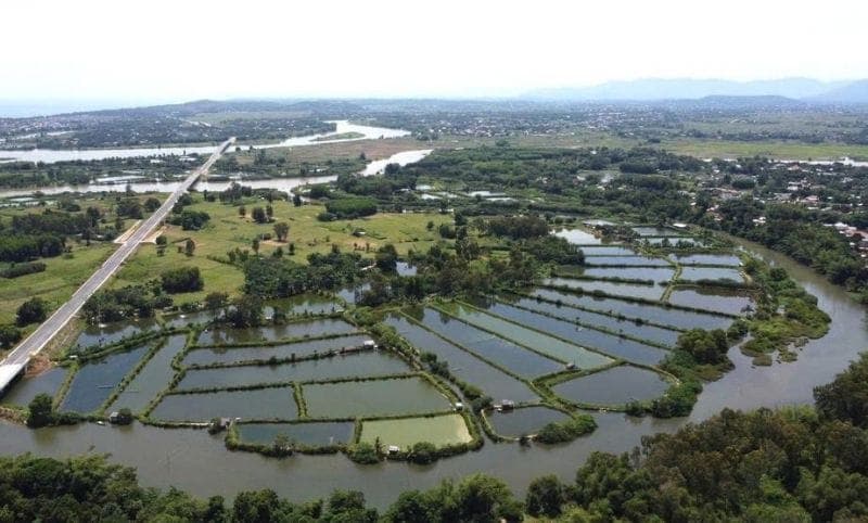 Quảng Ngãi giao thêm 380.000m2 đất cho doanh nghiệp làm dự án bất động sản
